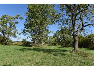 Property photo 36 - Tillable, Pasture, Recreational, Hunting and Fishing Property  